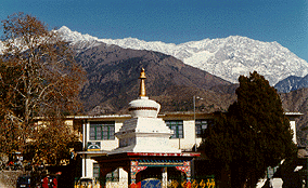 Gangkyi, Dharamsala, India